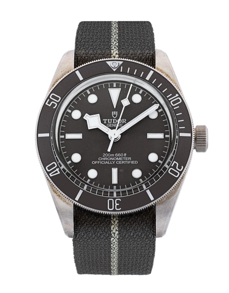Tudor Black Bay 58 M79010SG-0002